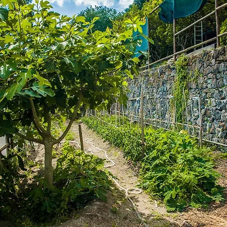 Villa Abelarda * 이스키아