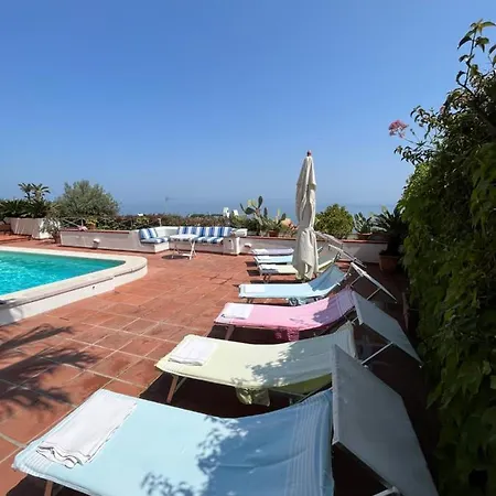 Abelarda 4*