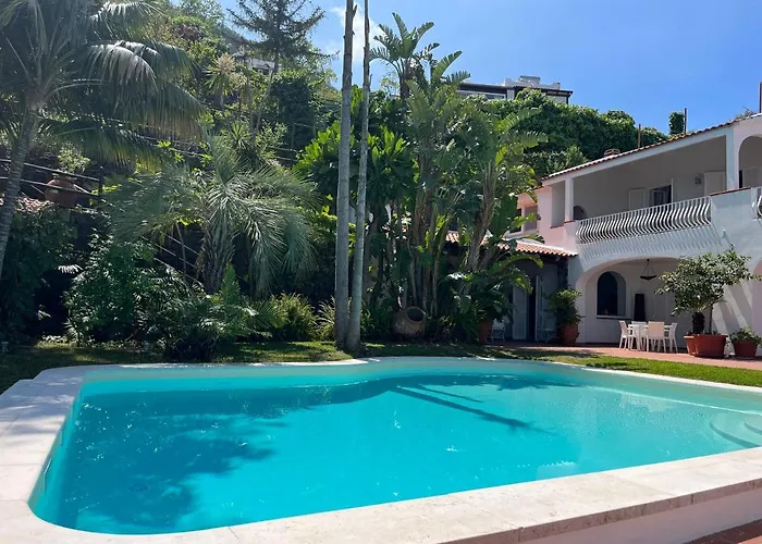 Abelarda 4*