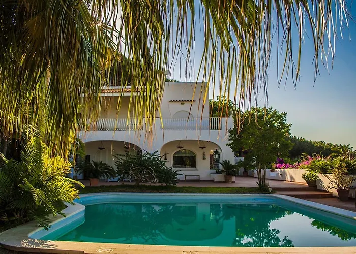 Bed & Breakfast Abelarda Ischia
